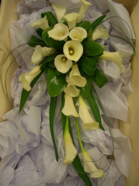 Calla-lily-trailing-bouquet.jpg