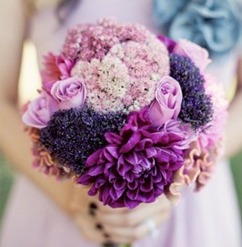 colori fiori.JPG