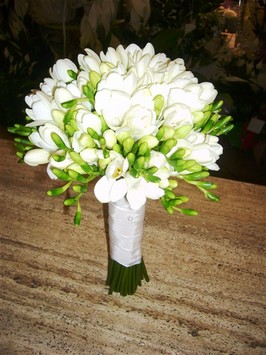 5445302_bouquet_fresie.jpg