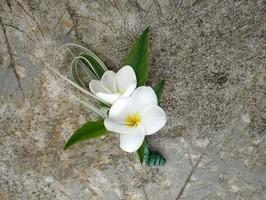 93e3c009d86cea62f0f9fefb369888f0--plumeria-boutonniere-wedding-boutonniere.jpg