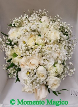 2017-08-26 10.49.07.jpg