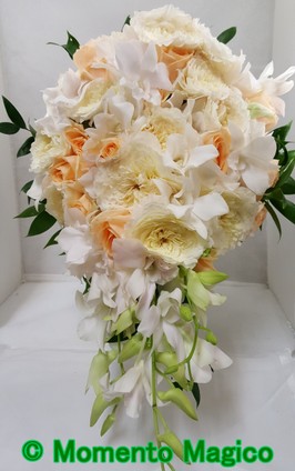 2017-09-10 14.16-1.39.jpg