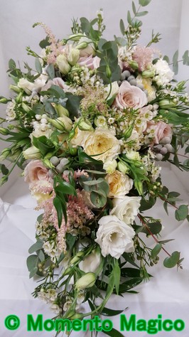2017-09-16 12.06.29.jpg