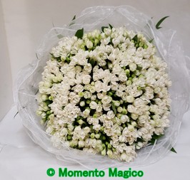 2017-09-23 12.30.23.jpg