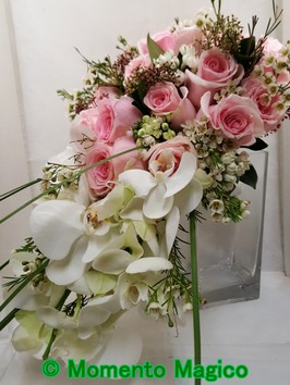 2017-10-01 11.56.44.jpg