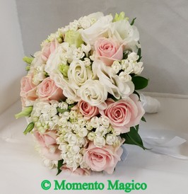 Rose Rosa 2.jpg