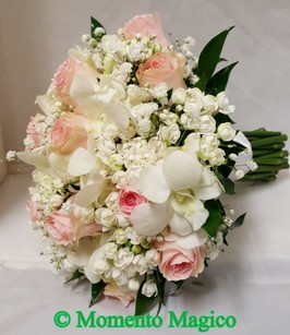 20180516_121210.jpg