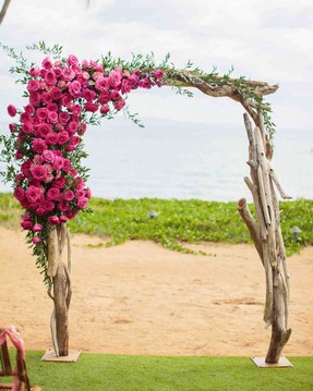 christen-tim-wedding-arch-21428-6143924-0816_vert.jpg